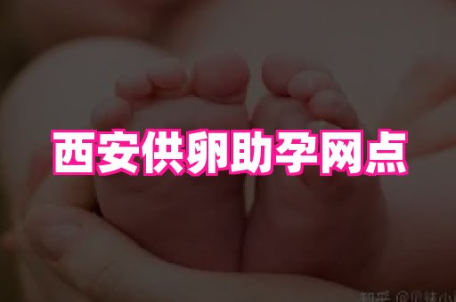 东莞助孕网站 1