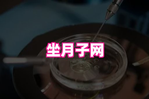 东莞助孕网站 3